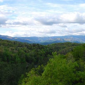 Nantahala Camping